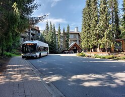 Blackcomb Springs Suites by CLIQUE