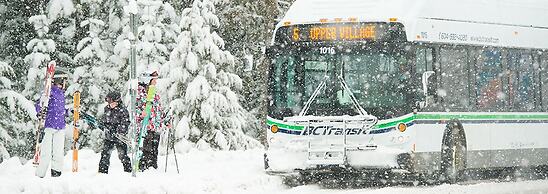 Blackcomb Springs Suites by CLIQUE