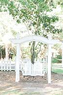 Georgia Palms & Gardens