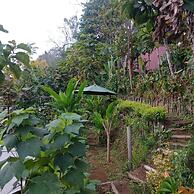 ECOcamp Bedugul