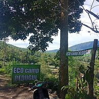 ECOcamp Bedugul