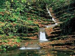 Yıldız Country Hotel