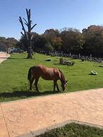 Yıldız Country Hotel