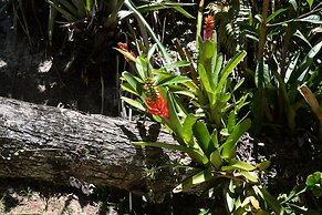 Pousada Sitio Olho Dagua