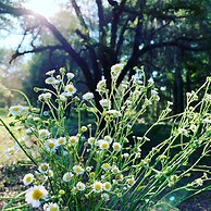Comfy Camping At The Forge