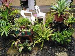 El Nido Hostel Sun Valley