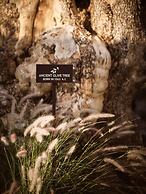 Acro Wellness Suites - Adults Only