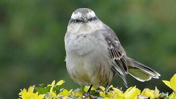 Hotel Fazenda Itaytyba