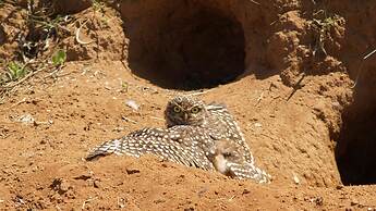 Hotel Fazenda Itaytyba