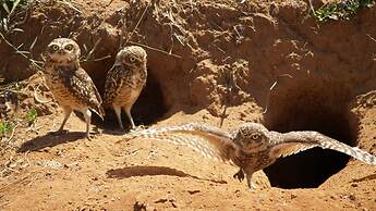 Hotel Fazenda Itaytyba
