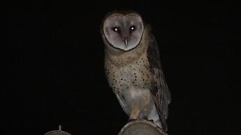 Hotel Fazenda Itaytyba