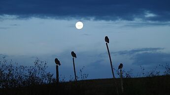 Hotel Fazenda Itaytyba