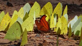 Hotel Fazenda Itaytyba