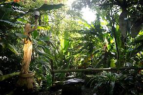 The Secret Buddha