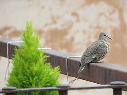 Hotel Casa de Eunice