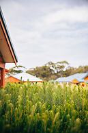 Cosy Corner by the BnB Collection