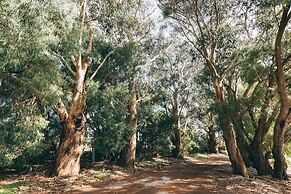 Cosy Corner by the BnB Collection