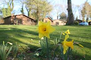 Ruthern Valley Holidays