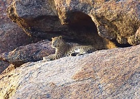 Thour Nature Resorts