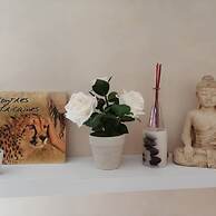 Chambre et Appartement Zen de Beauval