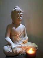 Chambre et Appartement Zen de Beauval