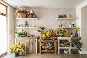 Hoy Paris - Home of YOGA