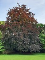 Copperbeech Bed and Breakfast