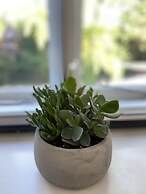 Copperbeech Bed and Breakfast