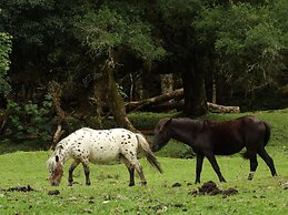 Pousada Recanto dos Pôneis