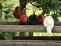 Pousada Recanto dos Pôneis