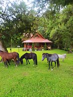 Pousada Recanto dos Pôneis