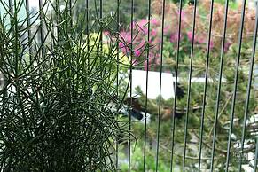 Kaia Residence Da Nang Quiet Garden