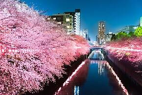 MG507 Cozy and clean room SHINAGAWA