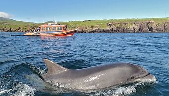 Great Blasket Island Accommodation