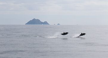 Great Blasket Island Accommodation