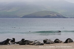 Great Blasket Island Accommodation