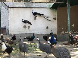 Résidence Nardina Golden