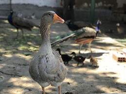 Résidence Nardina Golden