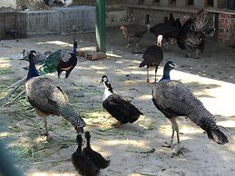 Résidence Nardina Golden