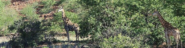 Twyfelfontein Tented Camp