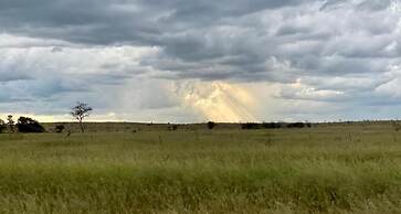 Kifaru Luxury Lodge & Bush Camp