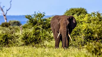 Africamps at Hoedspruit