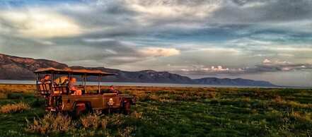 Africamps at White Elephant Safaris