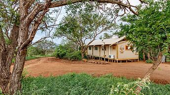 Africamps at White Elephant Safaris