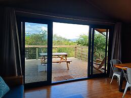 Africamps at White Elephant Safaris