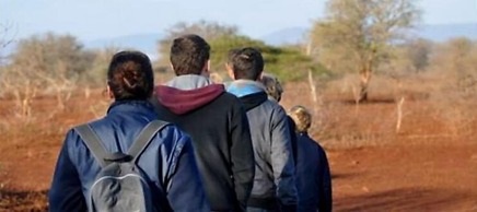 Africamps at White Elephant Safaris