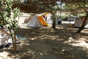 Plaka Camping Naxos