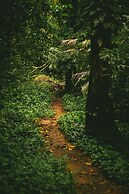 Saboga Lodge and Villa Noelia