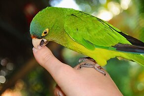 Saboga Lodge and Villa Noelia