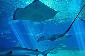 Saboga Lodge and Villa Noelia